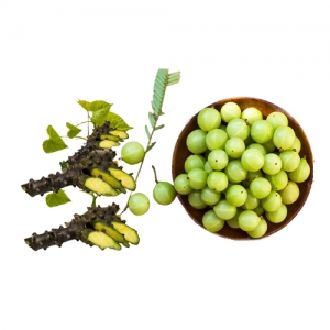 Amla Giloy Exporters