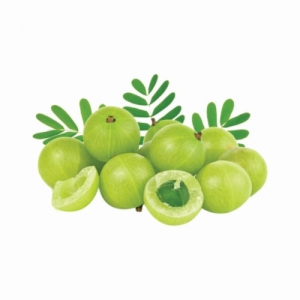 Amla Exporters