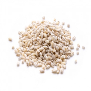 Barley Powder Exporters