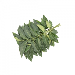 Neem Exporters