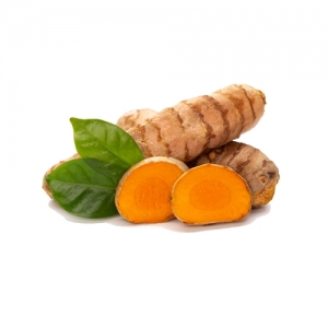 Turmeric Exporters