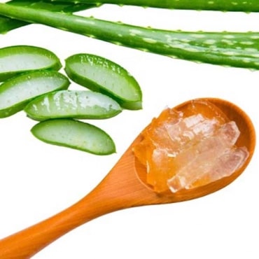 Aloe Vera Gel Exporters