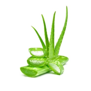 Aloe Vera Manufacturers