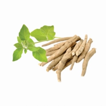 Ashwagandha Oil Exporters