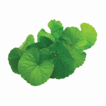 Brahmi Oil Exporters