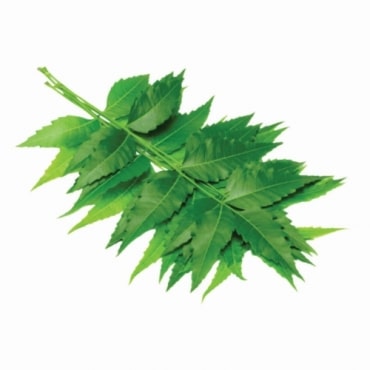 Neem Manufacturers