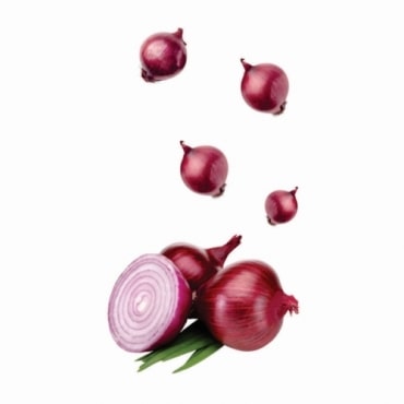 Onion Oil Exporters