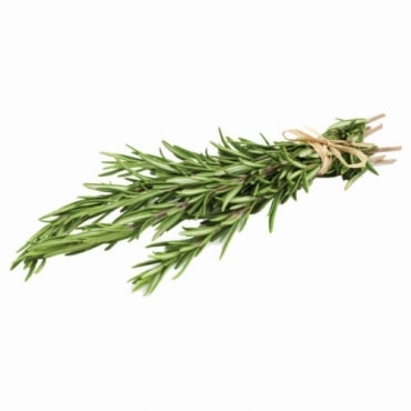 Rosemary Manufacturers