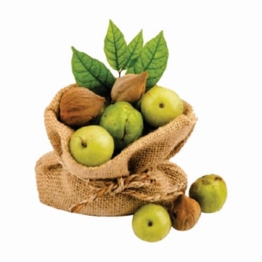 Triphala Manufacturers