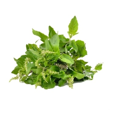 Tulsi Manufacturers